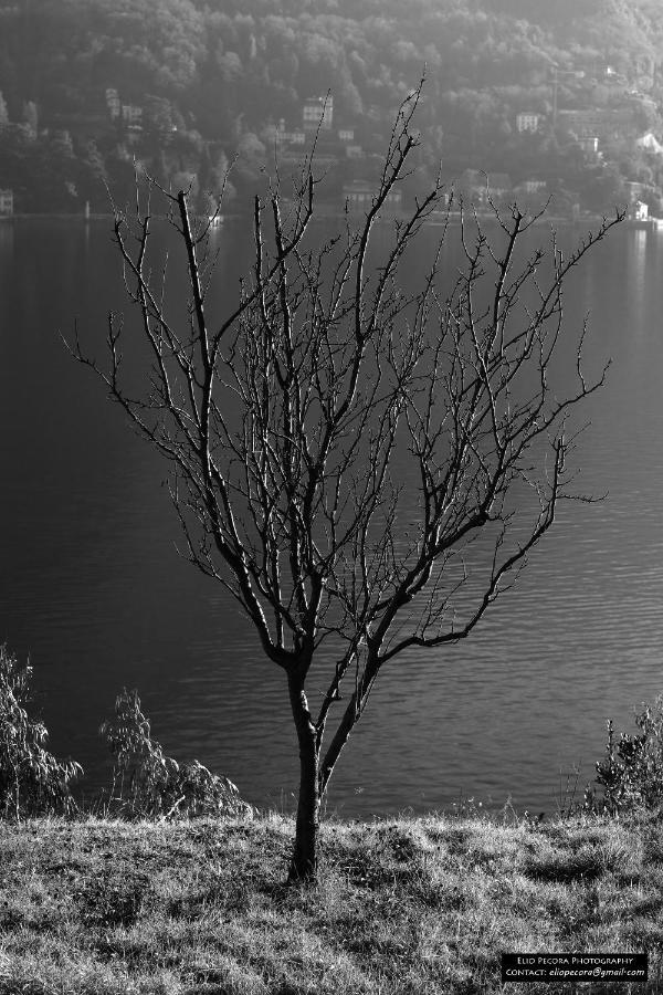 Appartamenti Monti Como Lake Brunate Exterior photo